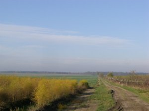 CTF-Boetzsee 039